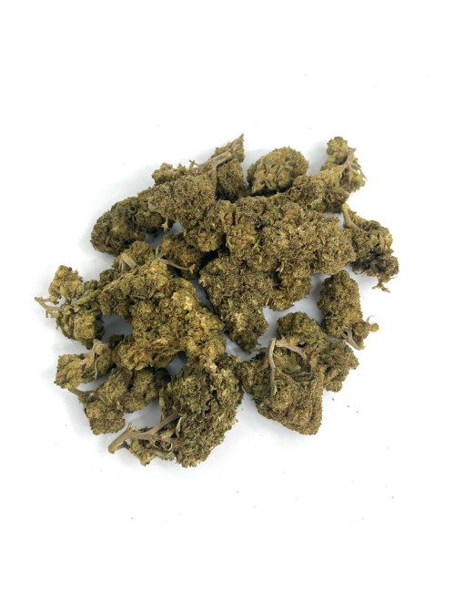 Gorilla Glue 50g - Wild Wild Weed 2.0 - Cannabis CBD Suisse