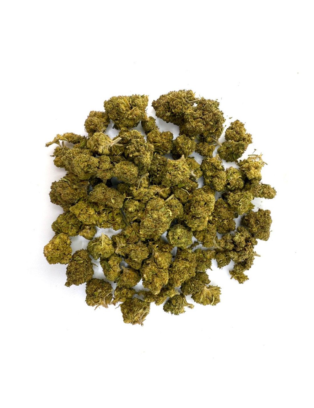 Tropical Cookies 50g - Wild Wild Weed 2.0 - Cannabis CBD Schweiz