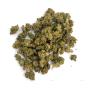 Super Skunk - Wild Wild Weed 2.0 - Cannabis CBD Schweiz Outdoor