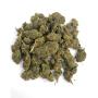 Strawberry - Wild Wild Weed 2.0 - Cannabis CBD Switzerland Outdoor