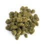 Mango Haze - Wild Wild Weed 2.0 - Cannabis CBD Suisse Outdoor