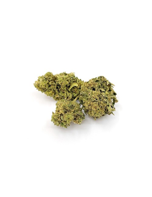 Mango Haze 50g - Old range Wild Wild Weed - CBD hemp Switzerland