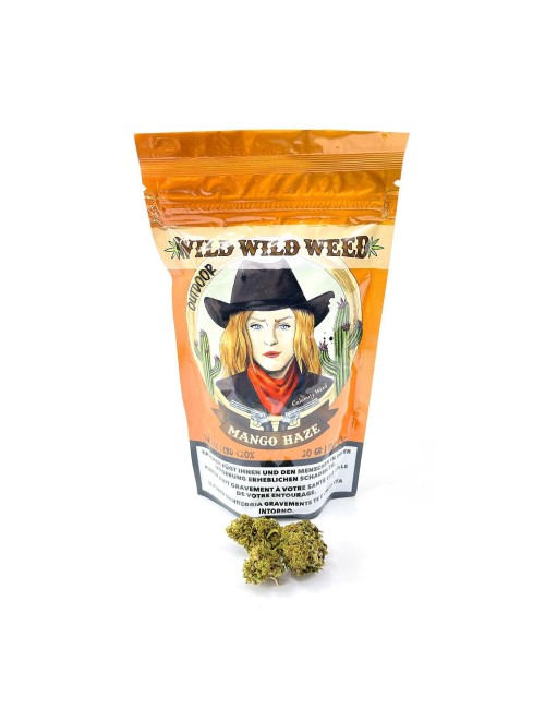 Mango Haze 50g - Altes Sortiment Wild Wild Weed - Schweizer CBD Blüten