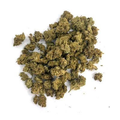 Super Skunk - Wild Wild Weed 2.0 - Cannabis CBD Suisse Outdoor