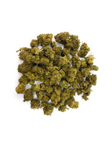 Tropical Cookies 50g - 4 für 3 - Wild Wild Weed 2.0 - Cannabis CBD Schweiz