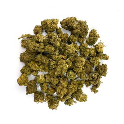 Tropical Cookies 50g - Wild Wild Weed 2.