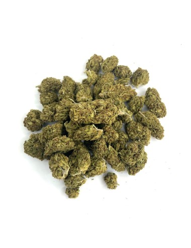 Mango Haze 50g - 4 für 3 - Wild Wild Weed 2.0 - Cannabis CBD Schweiz