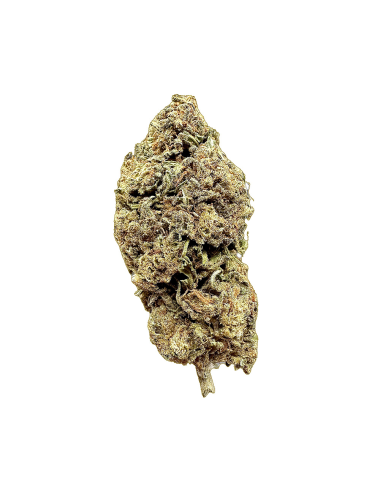 BZ1 - Paradise Weeds - Outdoor - Cannabis CBD Switzerland