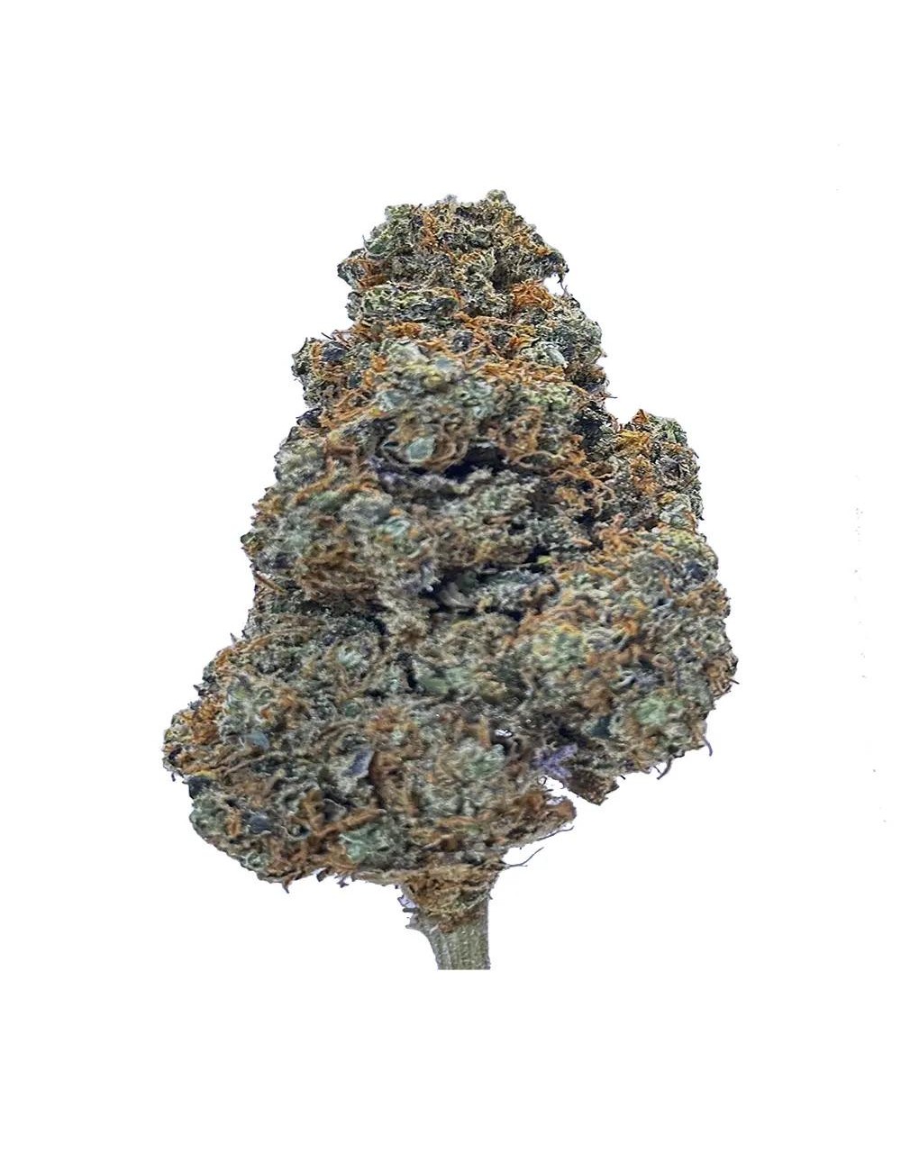 Lemon Cherry - Indoor - Paradise Weeds