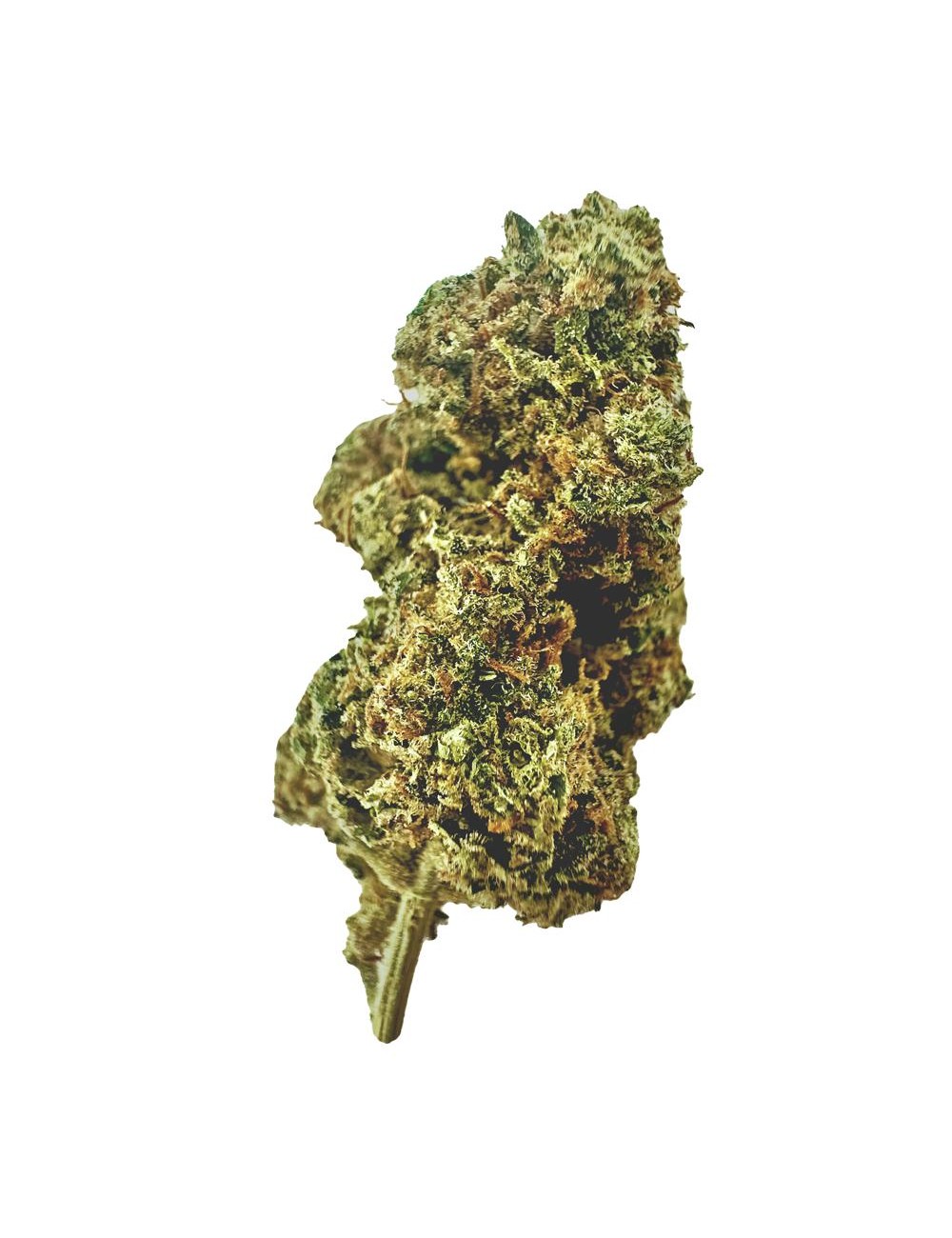 Grape Gasoline - Indoor - Paradise Weeds