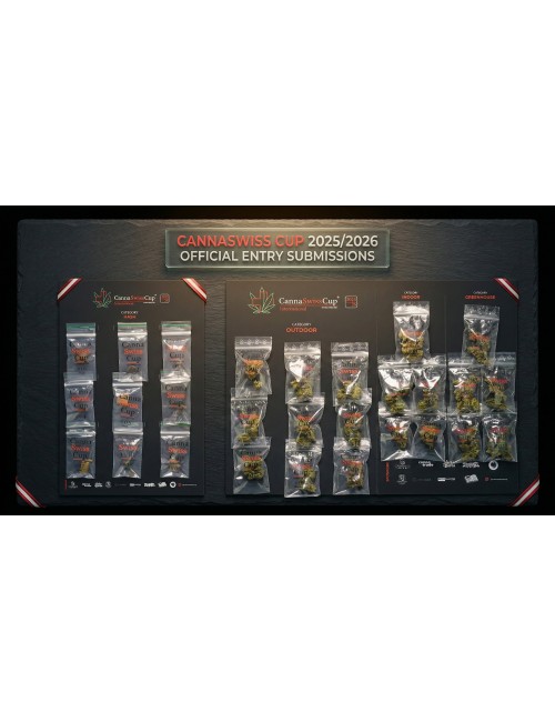 CannaSwissCup 2025-2026 - Jury-Box Hash - CannaTrade