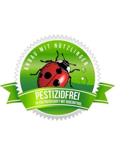 Swiss Weeds Red - Pure production - CBD hanf