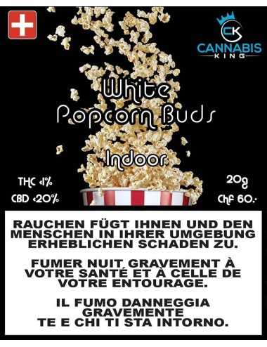 White Popcorn Buds - Cannabis King - Schweizer CBD Blüten