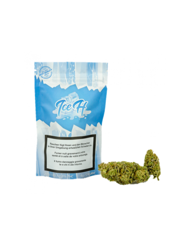 Ice Haze - Urban Pharm - Cannabis CBD