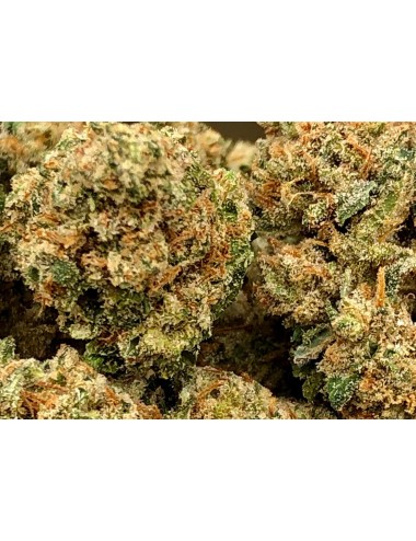 Kushi - CBD Farm's - Cannabis CBD