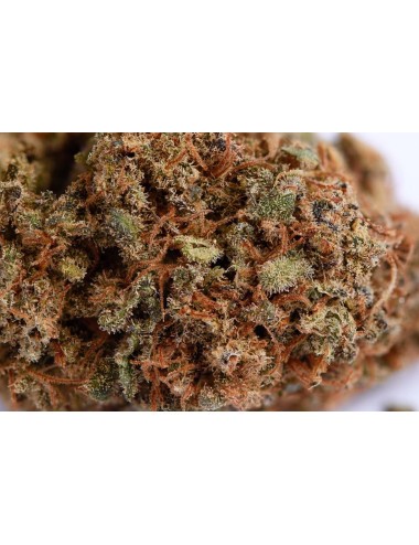 Golden Hill - High Garden - CBD Suisse