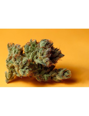 High Milky Way - High Garden - Schweizer CBD