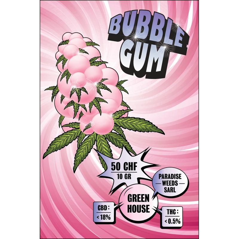 Bubble Gum - Paradise Weeds - Cannabis CBD Suisse Greenhouse