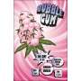 Bubble Gum - Paradise Weeds - Schweizer CBD Blüten Greenhouse