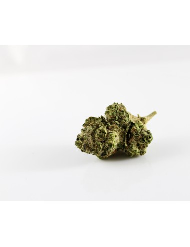 Gopid-19 - Paradise Weeds - Cannabis CBD Suisse