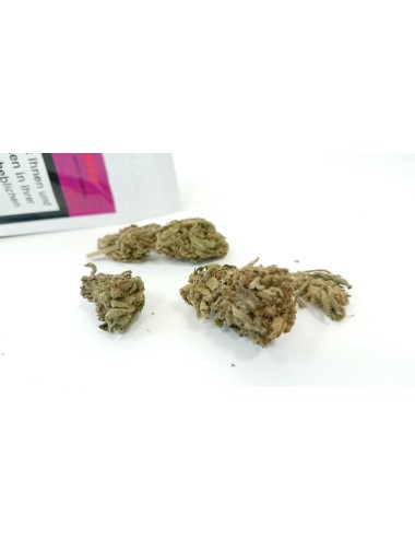 Pureflower Purple - Purexis - Schweizer CBD Blüten