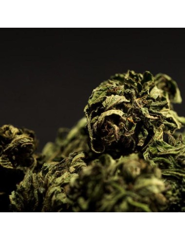 Dent Blanche UT - Zuya - CBD hemp Switzerland