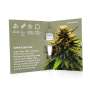 Cannabis Seeds "Super Silver CBD" - One Premium CBD Seeds
