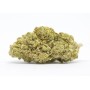 Cannabis Seeds "FedTonic" - Zitronic