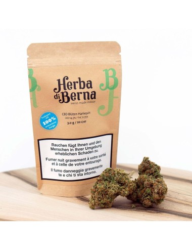 Harlequin Indoor - Herba Di Berna