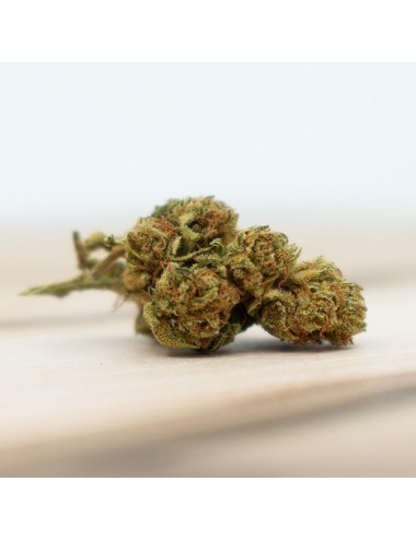 Remedy Kush Greenhouse - Herba Di Berna