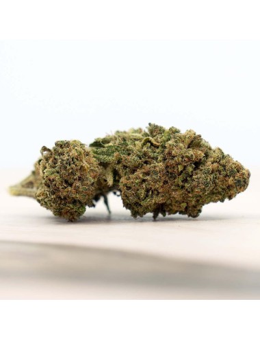 Cannatonic Indoor - Herba Di Berna