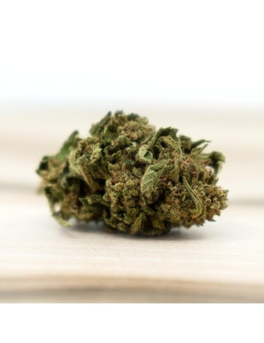 Cannatonic Outdoor - LIMITED EDITION - Herba Di Berna