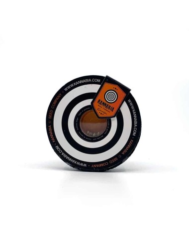 Swiss Dream CBD Samen Autoflower Rosé - Kannabia