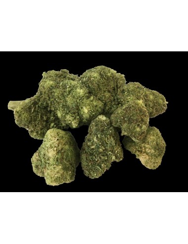 Renegade OG Kush Gewächshaus - Budz