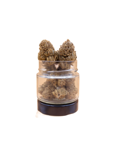 Highlo - High Garden - CBD Suisse