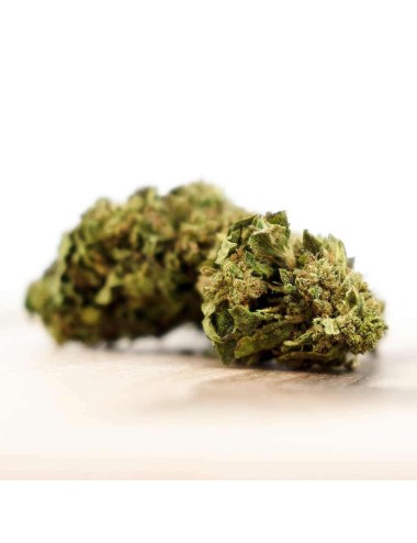 Cannatonic Outdoor - LIMITED EDITION 45g - Herba Di Berna