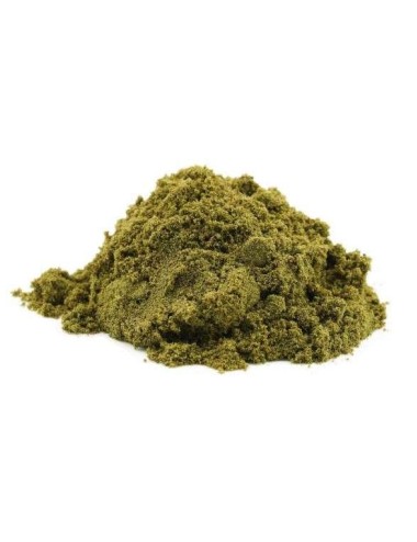 Trockenextrakt Greenhouse - B-Chill