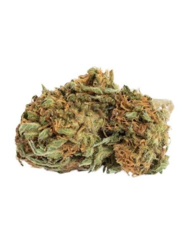 Harlequin Outdoor - B-Chill