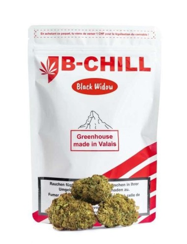 Black Widow Greenhouse - B-Chill