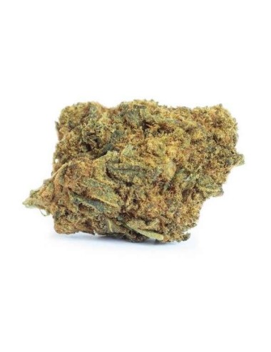 Black Widow Greenhouse - B-Chill