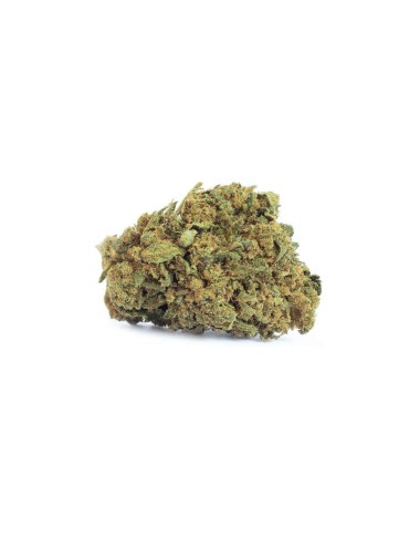 Blueberry Greenhouse - B-Chill