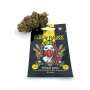 Sugar Kiss CBD Feminized Seeds- Cannabis King Seed Bank Cuttings and seeds