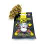 Critical Jack CBD Graines Feminisée - Cannabis King Seed Bank® Boutures et graines