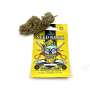 Amnesia Haze CBD Feminized Seeds- Cannabis King Genetic® Premium Seed Bank Cuttings and seeds