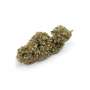 Amnesia Haze CBD Feminized Seeds- Cannabis King Genetic®