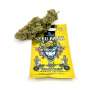 Lemon Haze CBD Graines Feminisée - Cannabis King Seed Bank Premium Genetic® Boutures et graines