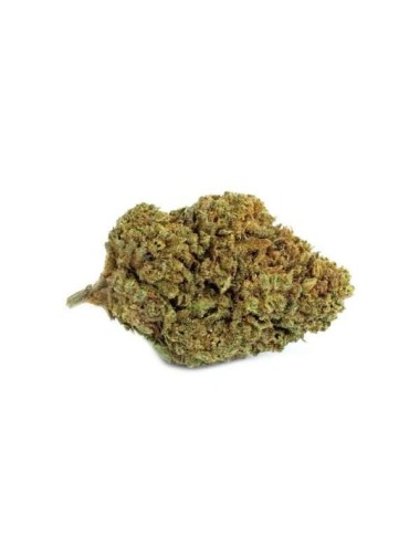 Paradise Kush Indoor - B-Chill