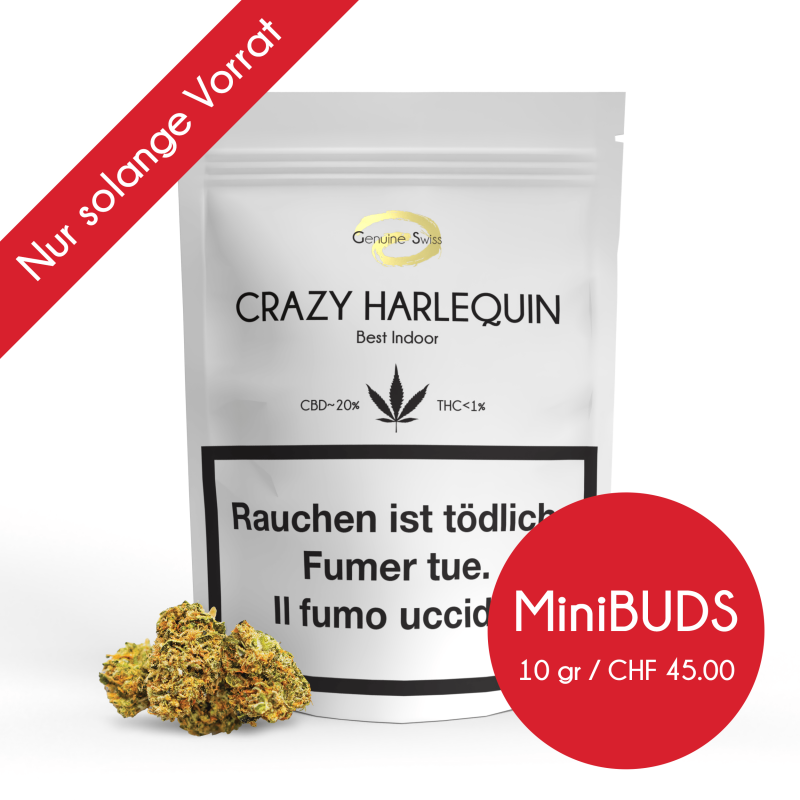 Crazy Harlequin MiniBUDS - Genuine Swiss