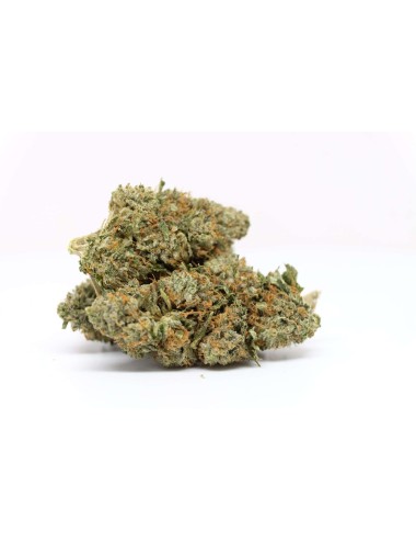 Blue Berry Bud - Genuine Swiss - old