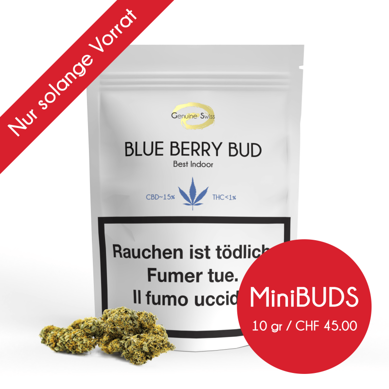Blue Berry Bud MiniBUDS - Genuine Swiss